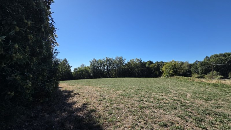 Vente Terrain Saint-Jal - -8315 m² - (19700)