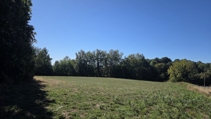 Vente Terrain Saint-Jal - -8315 m² - (19700)