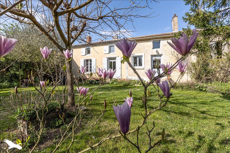 Vente Maison CRAM CHABAN - 8 pièces -246 m² - (17170)