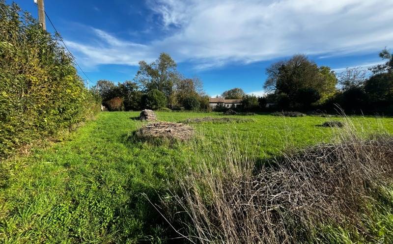 Vente Terrain AMURE - -1358 m² - (79210)