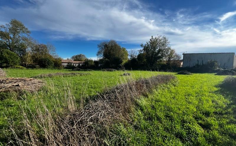 Vente Terrain AMURE - -2158 m² - (79210)