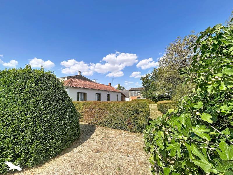 Vente Maison ST GEORGES DE REX - 4 pièces -79 m² - (79210)