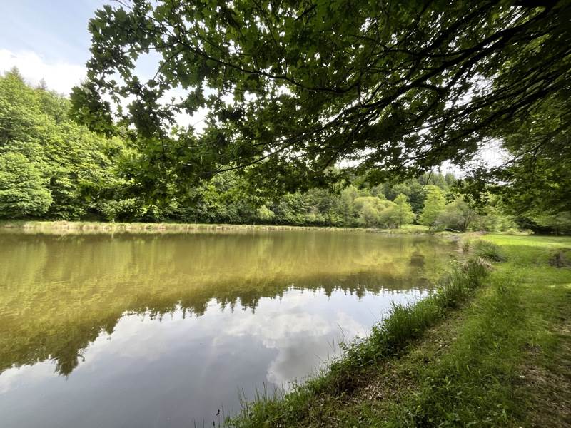 Vente Terrain BUSSIERE GALANT - -14580 m² - (87230)