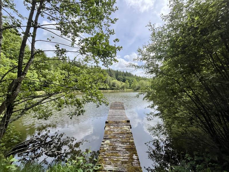 Vente Terrain BUSSIERE GALANT - -14580 m² - (87230)