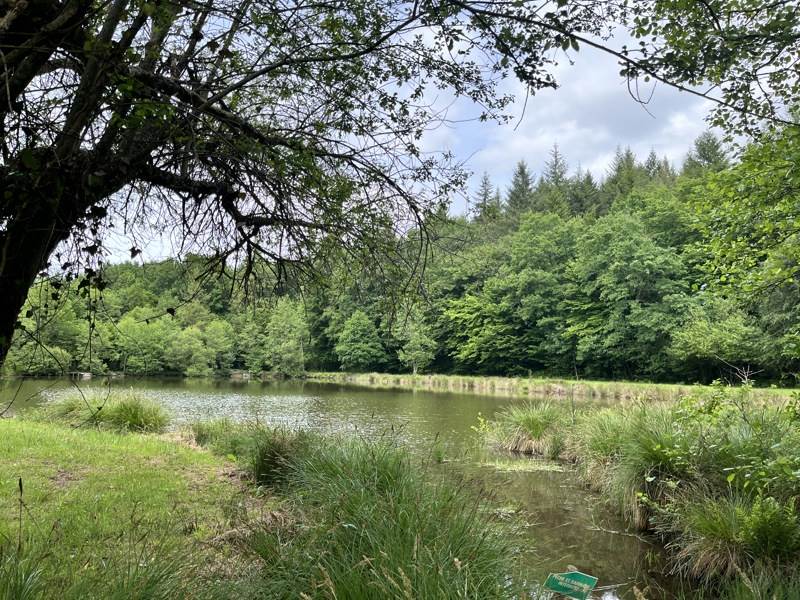 Vente Terrain BUSSIERE GALANT - -14580 m² - (87230)