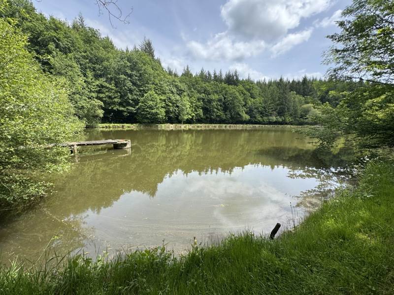 Vente Terrain BUSSIERE GALANT - -14580 m² - (87230)