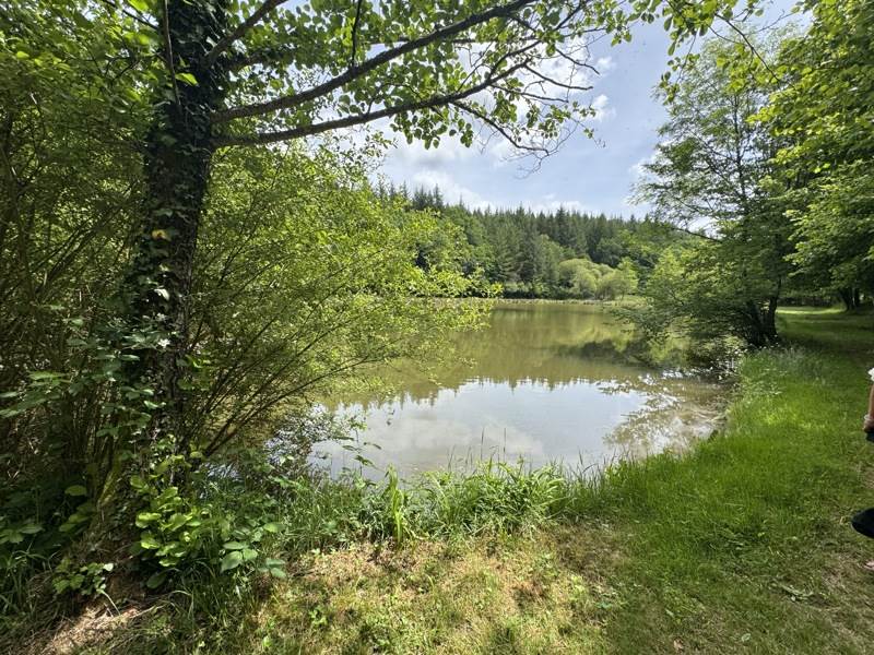 Vente Terrain BUSSIERE GALANT - -14580 m² - (87230)