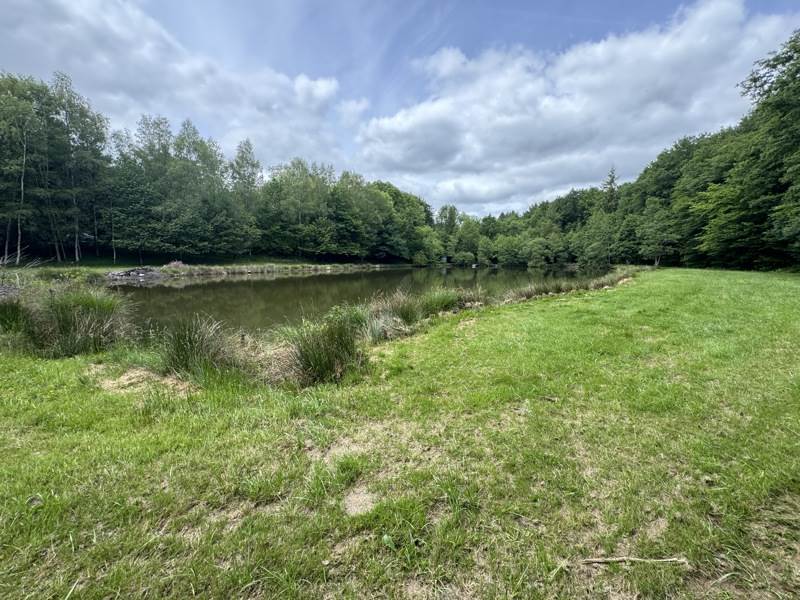 Vente Terrain BUSSIERE GALANT - -14580 m² - (87230)