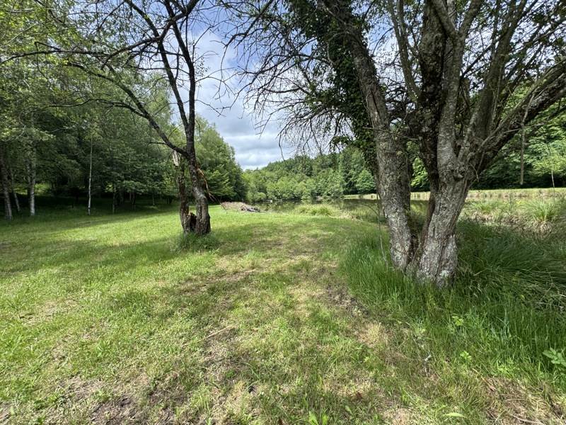 Vente Terrain BUSSIERE GALANT - -14580 m² - (87230)
