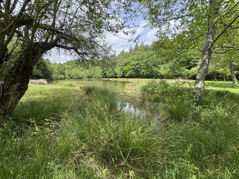 Vente Terrain BUSSIERE GALANT - -14580 m² - (87230)