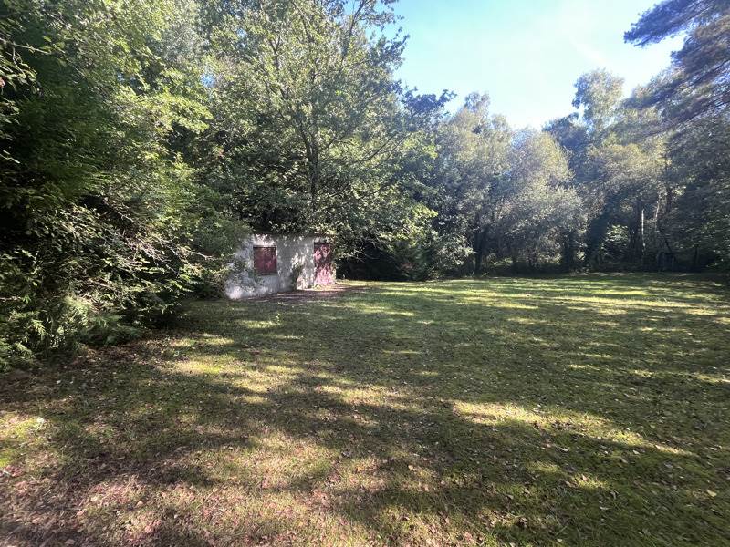 Vente Terrain MIALET - -20475 m² - (24450)