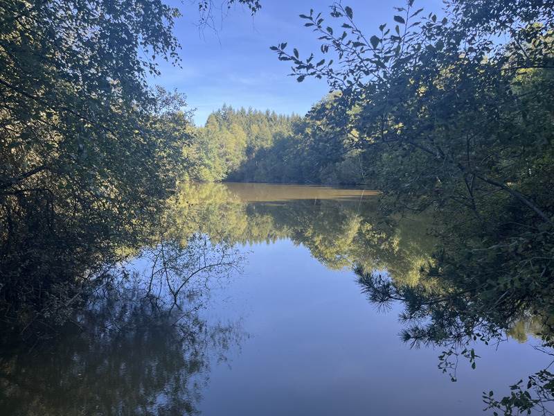 Vente Terrain MIALET - -20475 m² - (24450)