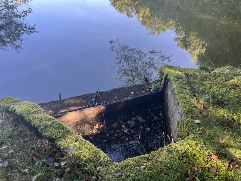 Vente Terrain MIALET - -20475 m² - (24450)