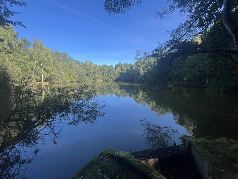 Vente Terrain MIALET - -20475 m² - (24450)