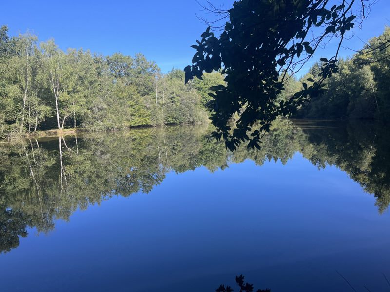 Vente Terrain MIALET - -20475 m² - (24450)