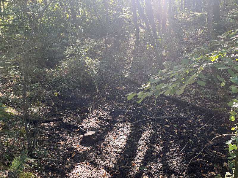 Vente Terrain MIALET - -20475 m² - (24450)