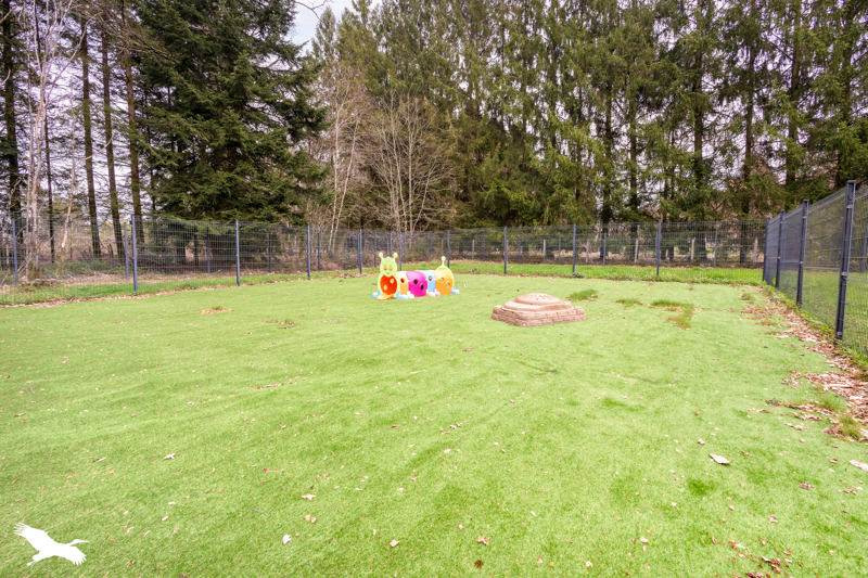 Vente Maison CUSSAC - 4 pièces -186 m² - (87150)