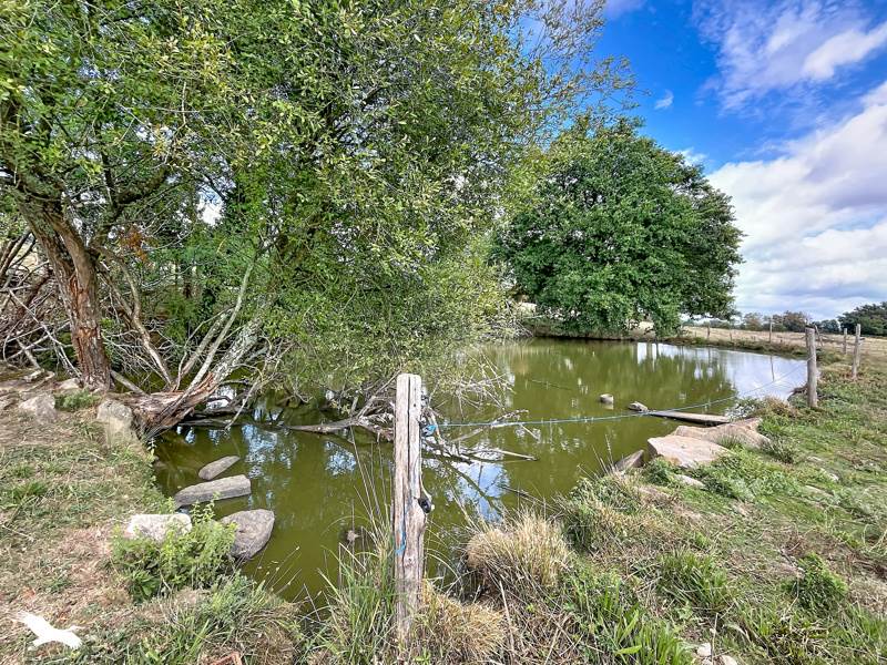 Vente Maison FLAVIGNAC - 4 pièces -80 m² - (87230)