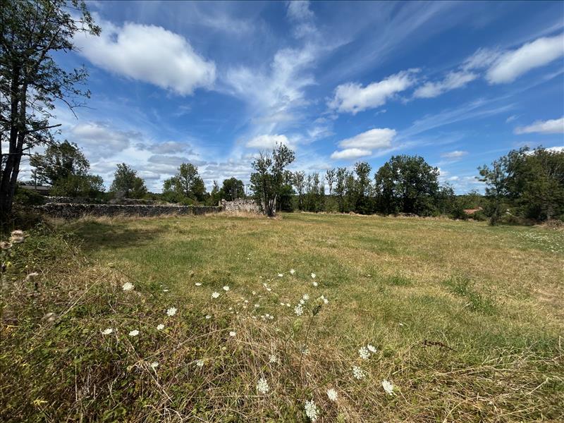 Vente Terrain GREZES - -3195 m² - (46320)