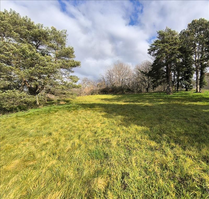 Vente Terrain CARDAILLAC - -2730 m² - (46100)
