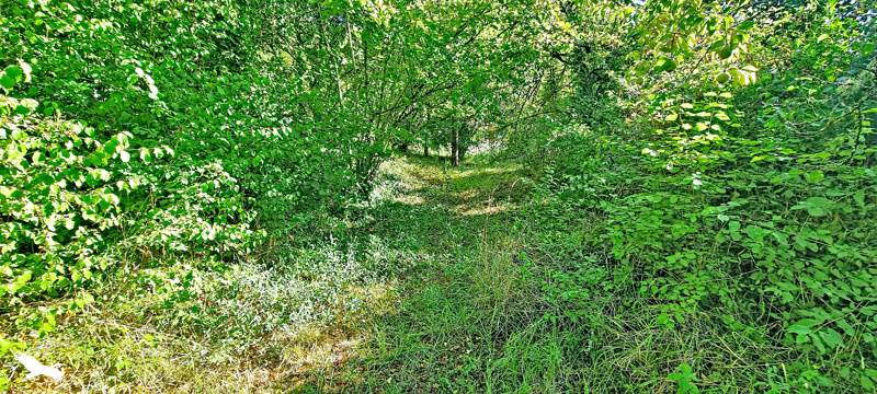 Vente Terrain LARROQUE TOIRAC - -4959 m² - (46160)