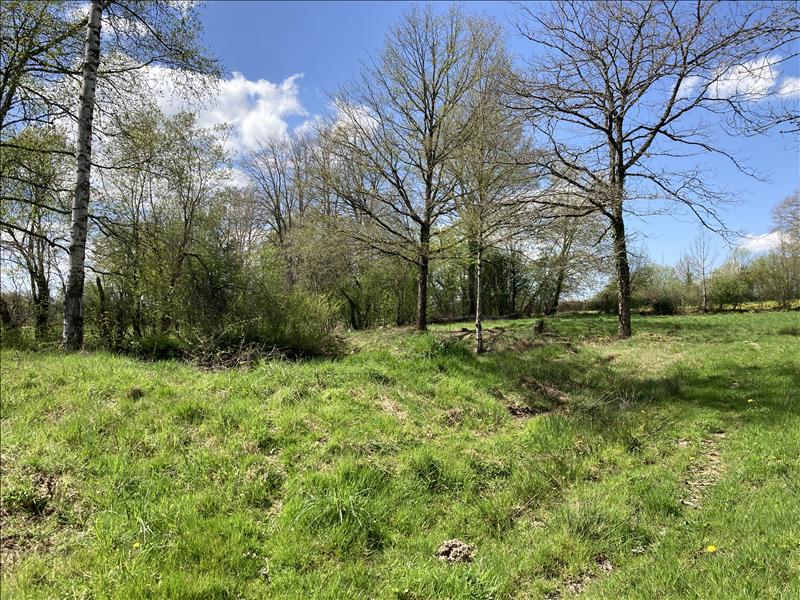 Vente Terrain LOURDOUEIX ST MICHEL - -2430 m² - (36140)