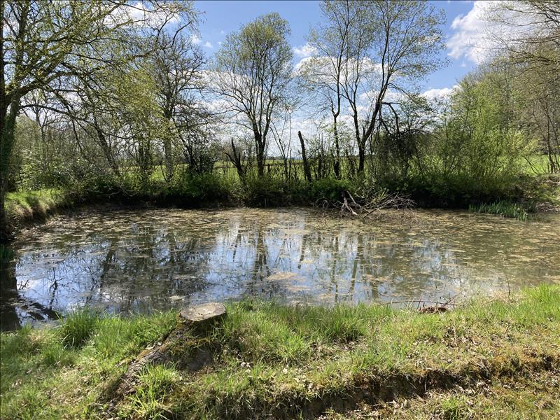 Vente Terrain LOURDOUEIX ST MICHEL - -2430 m² - (36140)