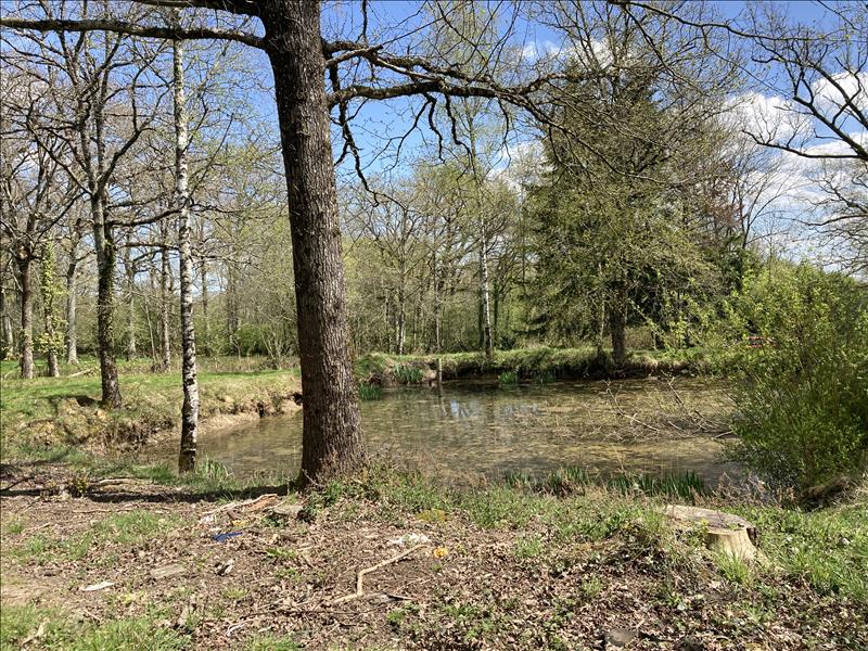 Vente Terrain LOURDOUEIX ST MICHEL - -2430 m² - (36140)