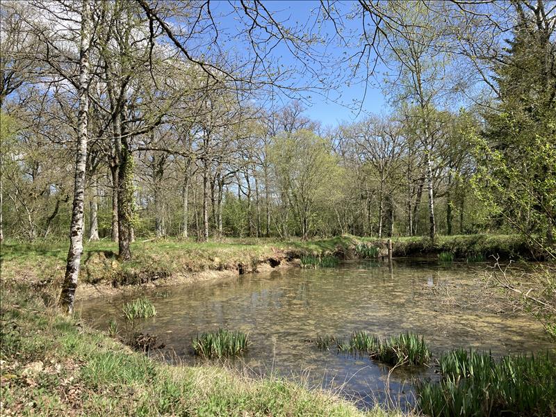 Vente Terrain LOURDOUEIX ST MICHEL - -2430 m² - (36140)