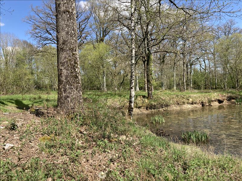 Vente Terrain LOURDOUEIX ST MICHEL - -2430 m² - (36140)