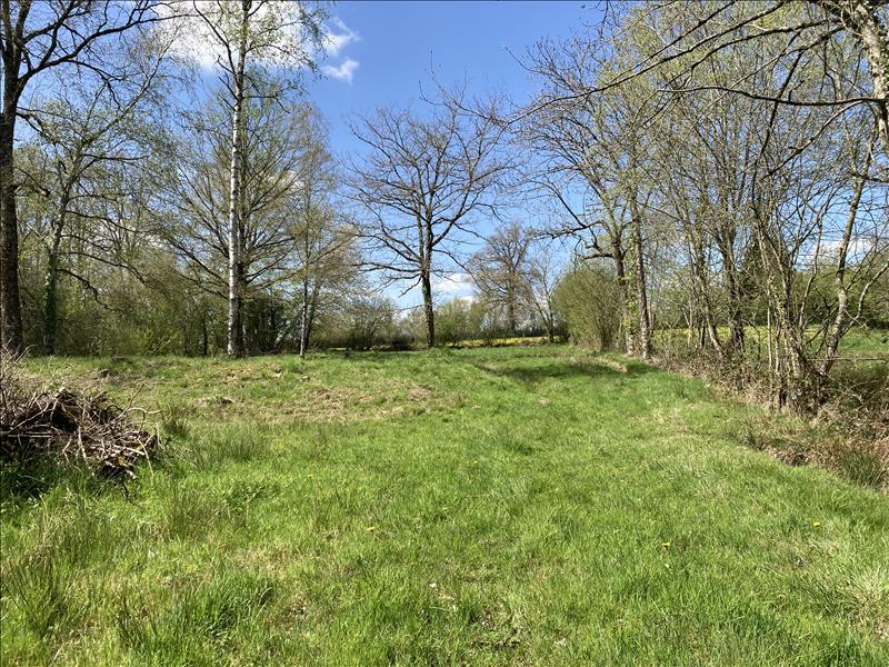 Vente Terrain LOURDOUEIX ST MICHEL - -2430 m² - (36140)
