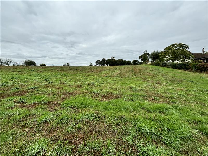 Vente Terrain VILLARD - -11047 m² - (23800)