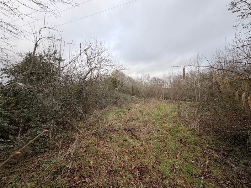 Vente Maison MONTCHEVRIER - 6 pièces -156 m² - (36140)