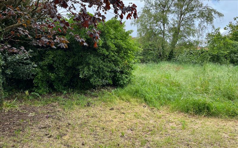 Vente Terrain LA ROCHELLE - -481 m² - (17000)