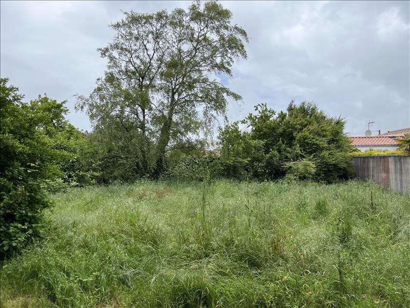 Vente Terrain LA ROCHELLE - -481 m² - (17000)