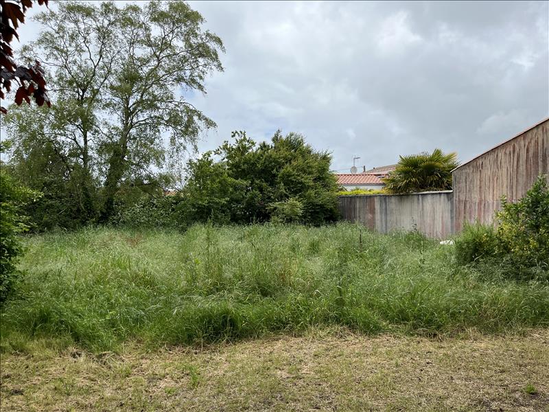 Vente Terrain LA ROCHELLE - -481 m² - (17000)