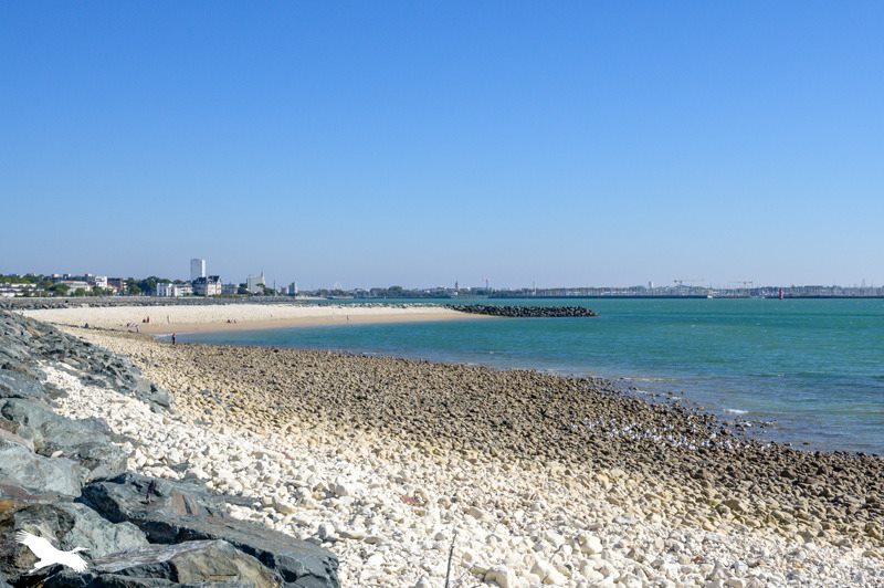 Vente Appartement LA ROCHELLE - 3 pièces -65,3 m² - (17000)