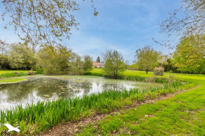 Vente Maison ST VINCENT DE PAUL - 9 pièces -250 m² - (40990)