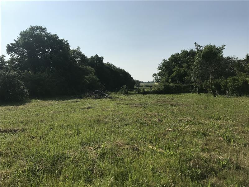 Vente Terrain VERDILLE - -1322 m² - (16140)