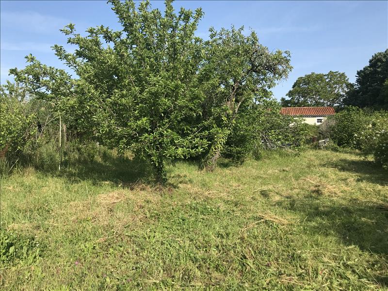 Vente Terrain VERDILLE - -1322 m² - (16140)