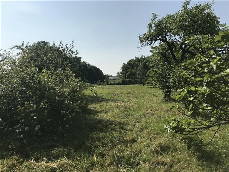 Vente Terrain VERDILLE - -1322 m² - (16140)