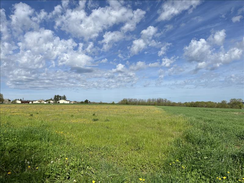 Vente Terrain ROUILLAC - -17100 m² - (16170)