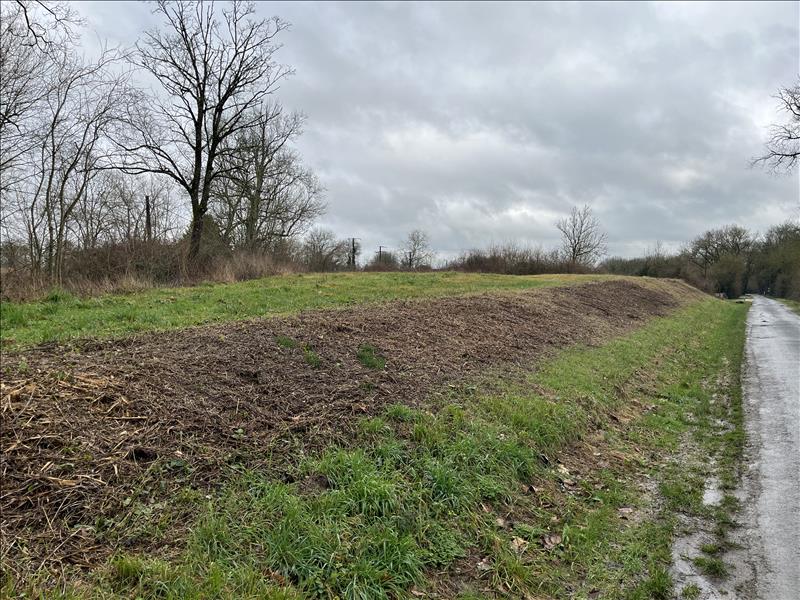 Vente Terrain ST CYBARDEAUX - -2986 m² - (16170)