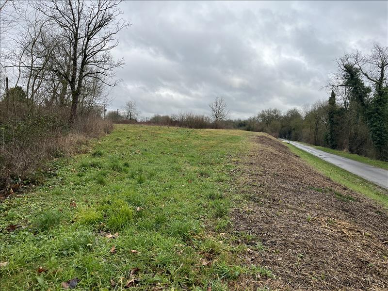Vente Terrain ST CYBARDEAUX - -2986 m² - (16170)
