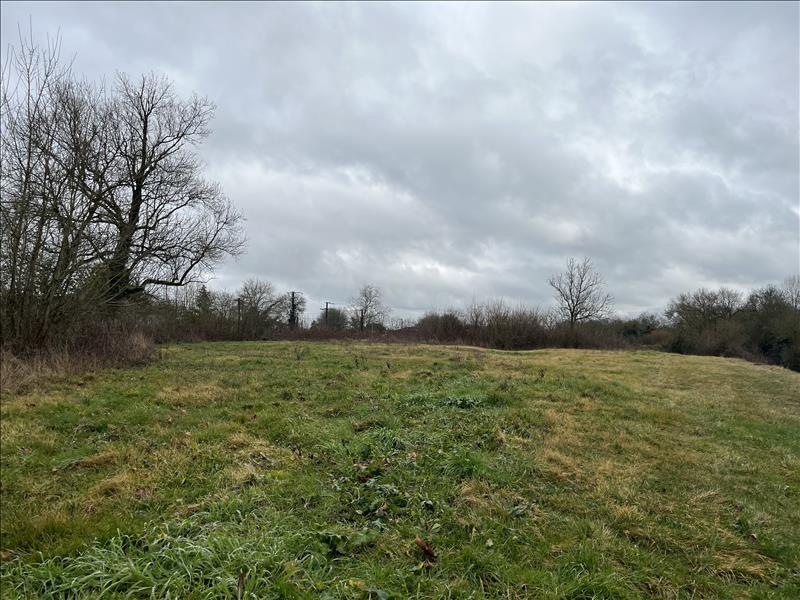 Vente Terrain ST CYBARDEAUX - -2986 m² - (16170)