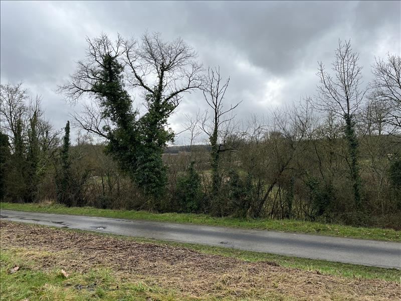 Vente Terrain ST CYBARDEAUX - -2986 m² - (16170)