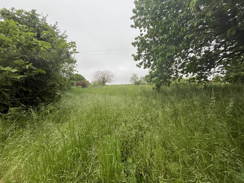 Vente Terrain ROUILLAC - -1917 m² - (16170)
