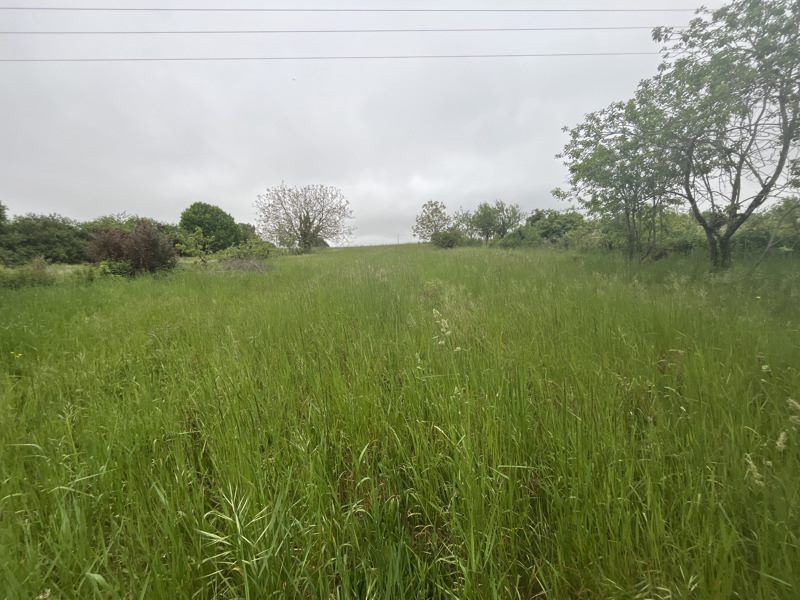 Vente Terrain ROUILLAC - -1917 m² - (16170)