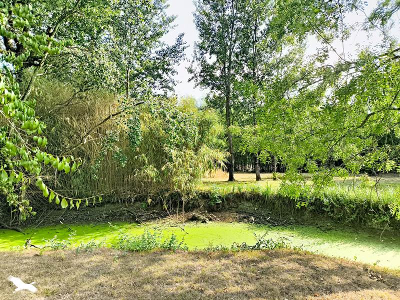 Vente Maison CHEVANCEAUX - 3 pièces -116 m² - (17210)