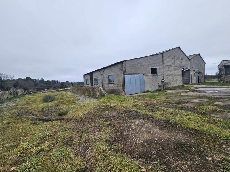 Vente Maison NEUVICQ - 1 pièce -300 m² - (17270)